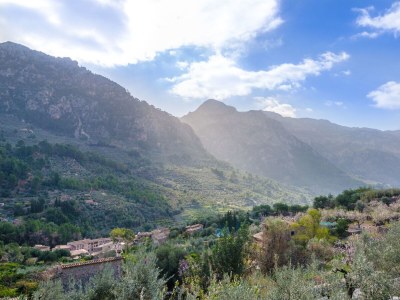 Finca Ses Begudes - Environment photo 46