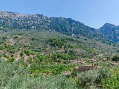 Finca Ses Begudes - Environment photo 47