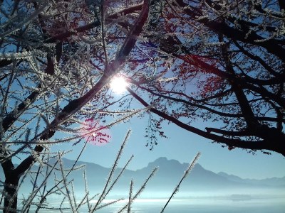 Chalet das seeidyll - Environment photo 17