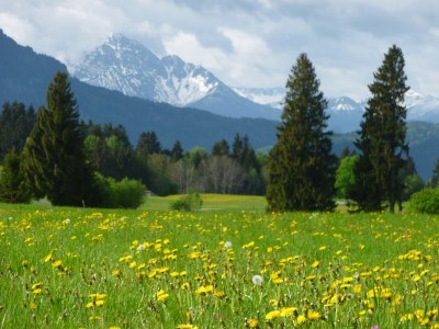 Chalet das seeidyll - Environment photo 19