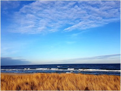 Holiday apartment Holiday at the baltic seaside - Outdoor photo 8