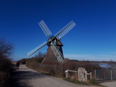 Holiday apartment Holiday at the baltic seaside - Environment photo 29