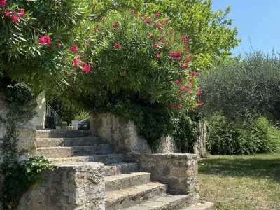 Holiday house La Marjuliere - Outdoor photo 8