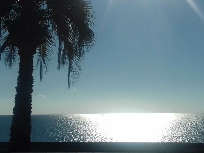 Holiday house La Marjuliere - Environment photo 19