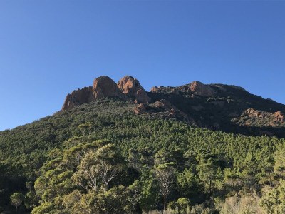 Holiday house La Marjuliere - Environment photo 24