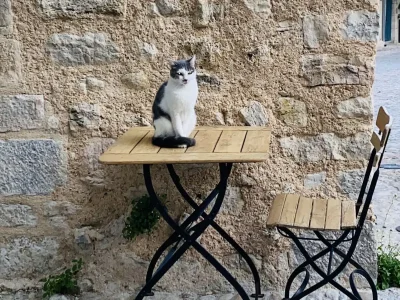 Holiday house La Marjuliere - Environment photo 26