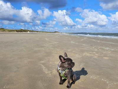 Holiday house Strandvilla - Environment photo 34