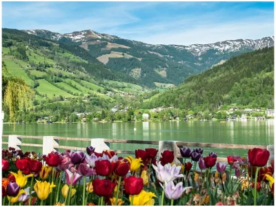 Chalet Jasmin - Environment photo 29