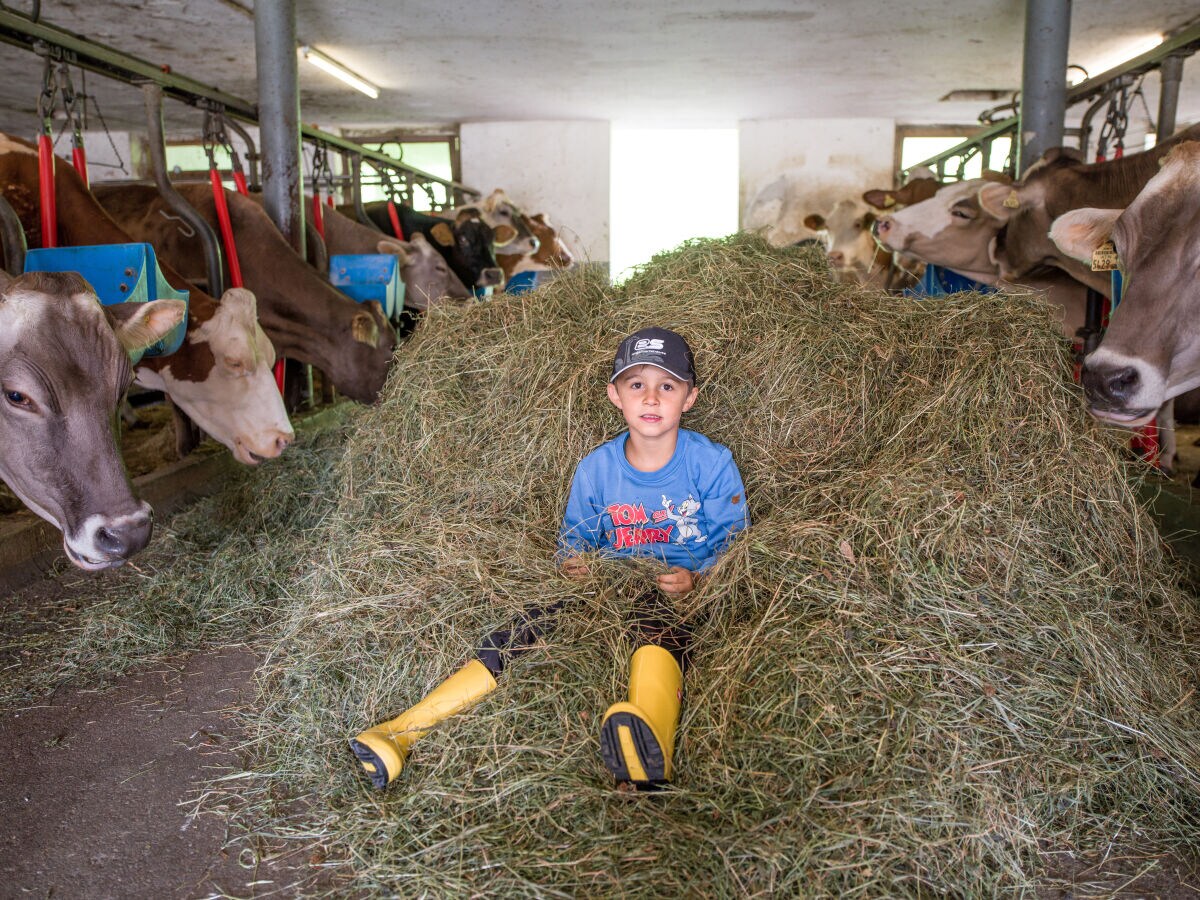 Holiday apartment Sonnblick im Huaterhof - Outdoor photo 5