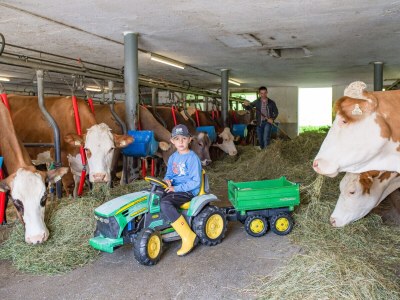 Holiday apartment Sonnblick im Huaterhof - Outdoor photo 6