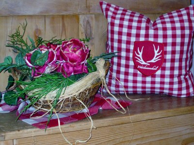 Holiday apartment Sonnblick im Huaterhof - Environment photo 18