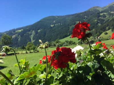 Holiday apartment Sonnblick im Huaterhof - Environment photo 21