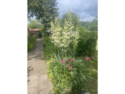 Holiday house by the lake - Outdoor photo 20