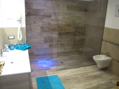 Holiday apartment Margherita Studio Deluxe by the lake with pool - Features photo 24