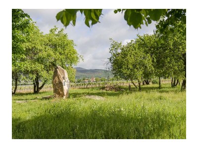 Holiday apartment Haus am Weinberg - Environment photo 21