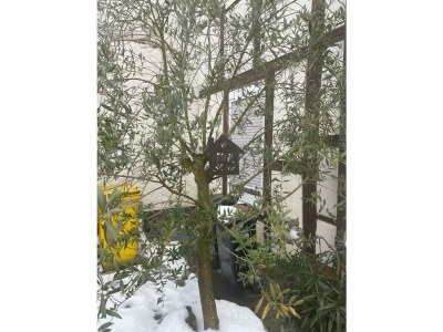 Holiday house Ahrstübchen - Outdoor photo 3