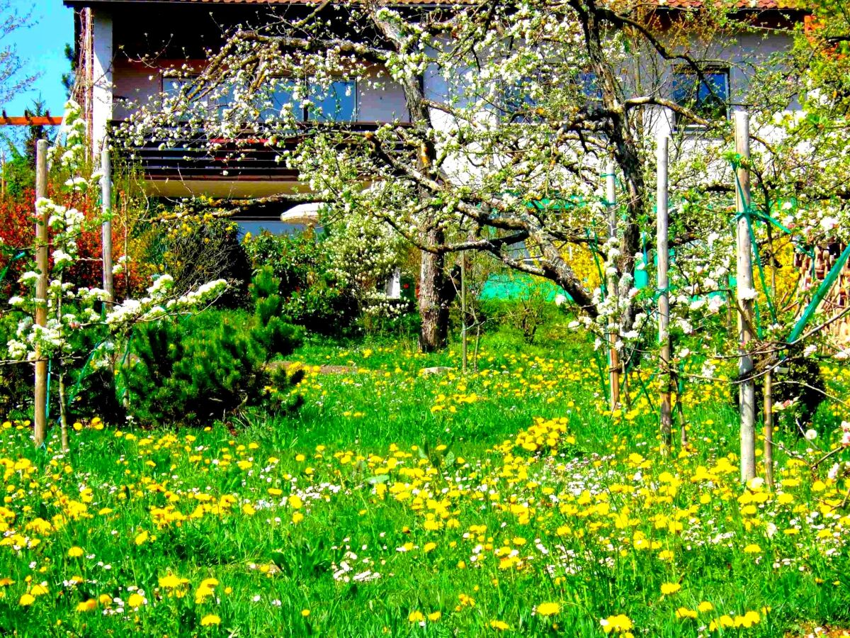 Holiday apartment Singer - Outdoor photo 2