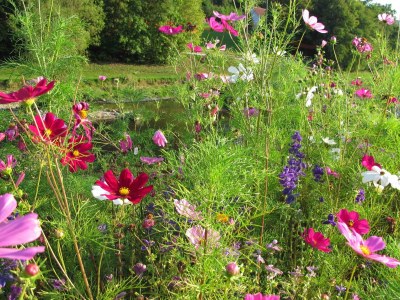 Holiday apartment Singer - Outdoor photo 18
