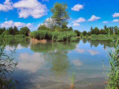 Holiday apartment Singer - Outdoor photo 19