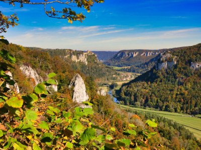 Holiday apartment Singer - Outdoor photo 21