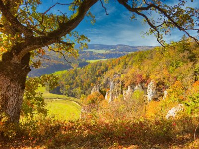 Holiday apartment Singer - Outdoor photo 25