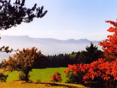 Holiday apartment Singer - Environment photo 28