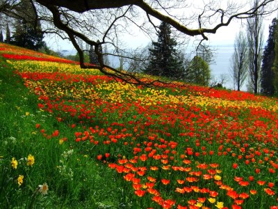 Holiday apartment Singer - Environment photo 31