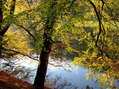 Holiday apartment Singer - Environment photo 33