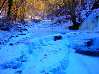Holiday apartment Singer - Environment photo 39