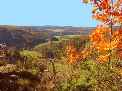 Holiday apartment Singer - Environment photo 40