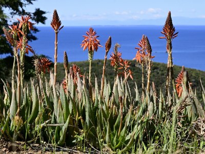 Holiday apartment Elisio (OG) Casa Elisio - Outdoor photo 15