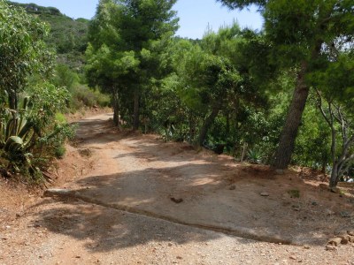 Holiday apartment Elisio (OG) Casa Elisio - Environment photo 31