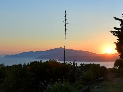 Holiday apartment Elisio (OG) Casa Elisio - Environment photo 34