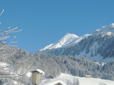 Holiday apartment Stefanie RÃ¼f - Outdoor photo 7