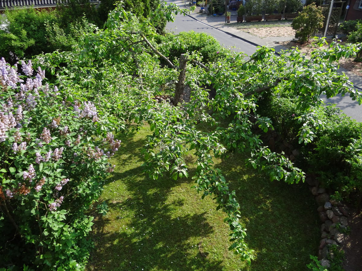 Holiday apartment Ohlendorf - Outdoor photo 4