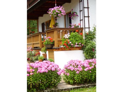 Holiday house Carla - Outdoor photo 5