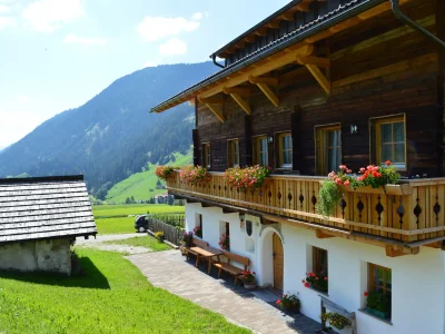 Holiday apartment Almenblick - Outdoor photo 5