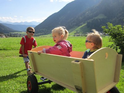 Holiday apartment Almenblick - Outdoor photo 7