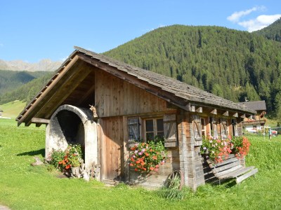 Holiday apartment Almenblick - Outdoor photo 9