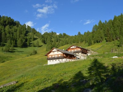 Holiday apartment Almenblick - Environment photo 25