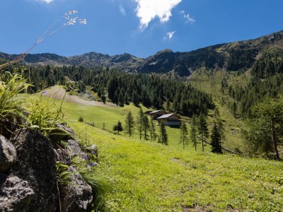 Holiday apartment Almenblick - Environment photo 28