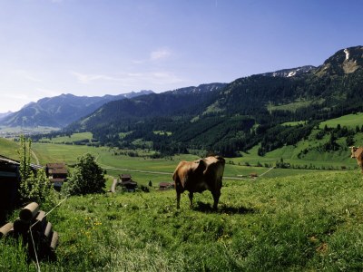 Chalet Tannheimertal - Environment photo 19
