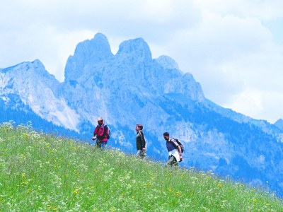 Chalet Tannheimertal - Environment photo 21