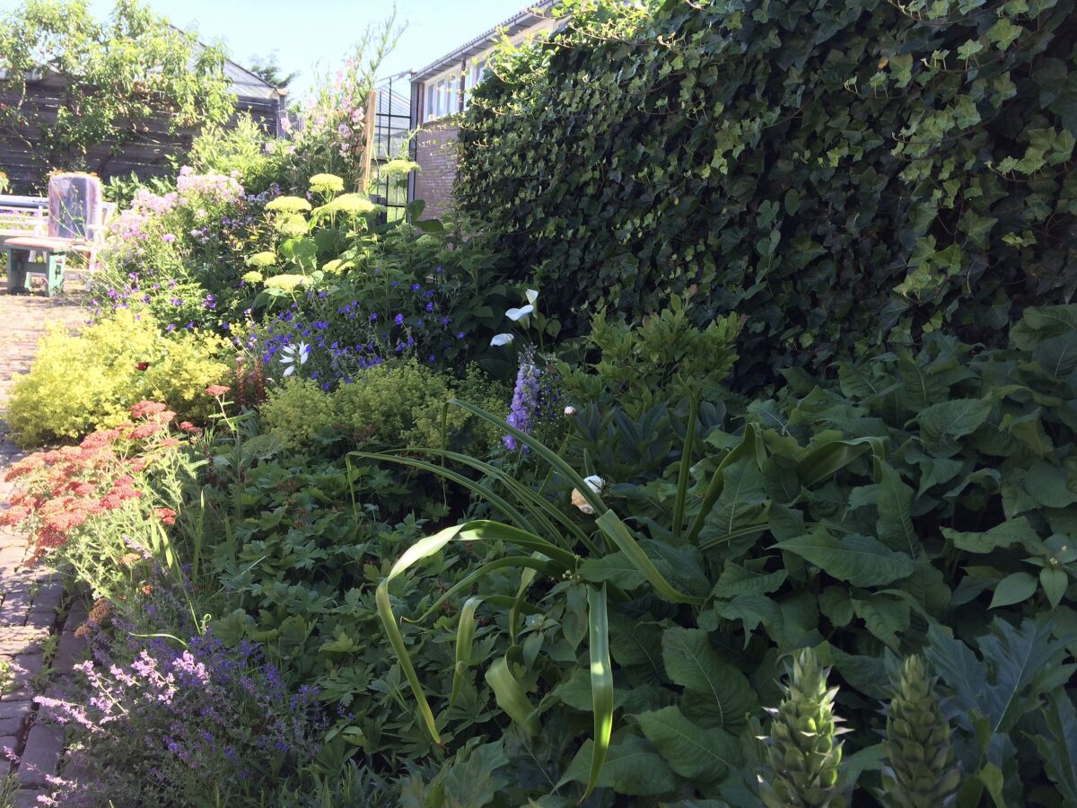 Holiday apartment van Rijn - Outdoor photo 5