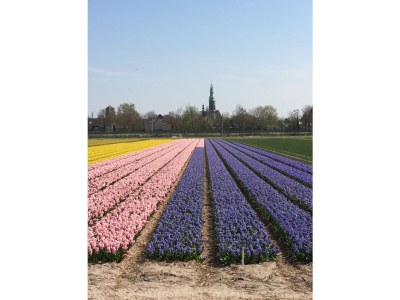 Holiday apartment van Rijn - Environment photo 16