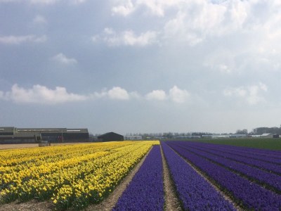 Holiday apartment van Rijn - Environment photo 17