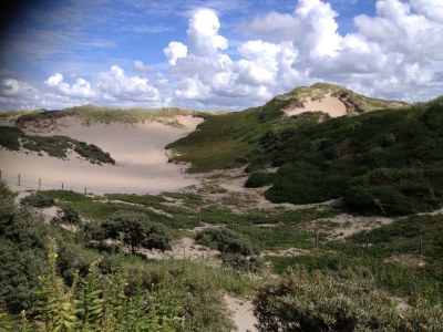 Holiday apartment van Rijn - Environment photo 21