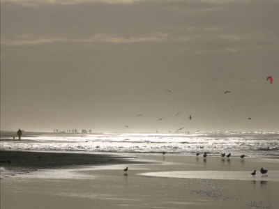 Holiday apartment van Rijn - Environment photo 22