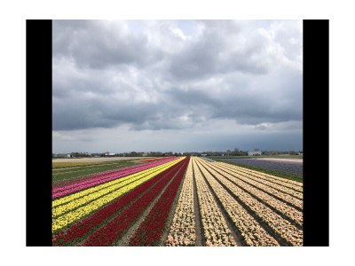 Holiday apartment van Rijn - Environment photo 24