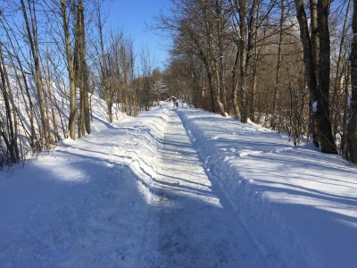 Holiday apartment Fewoalpin am See Appartement/FewoAppartement/FewoAppartement/FewoAppartement/Fewo Ferienwohnung Alpin - Outdoor photo 6